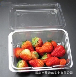 西安水果91香蕉视频在线网站